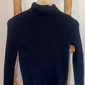 Zara Knit Turtle Neck